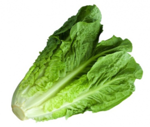 lettuce