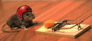 mousetrap